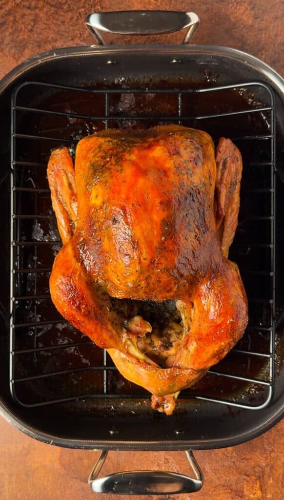 Golden brown roasted citrus turkey with sage seasoning and crispy skin resting on a rack in a roasting pan.